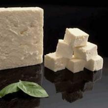 FreshcheeseH262