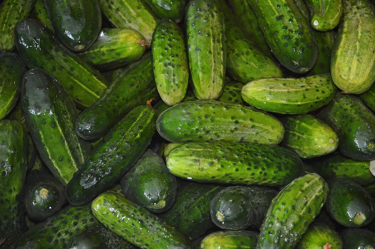 Pickle Packers International 2024